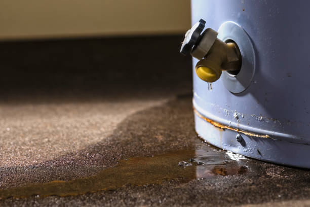 Best Flood restoration services  in Fairview Shores, FL