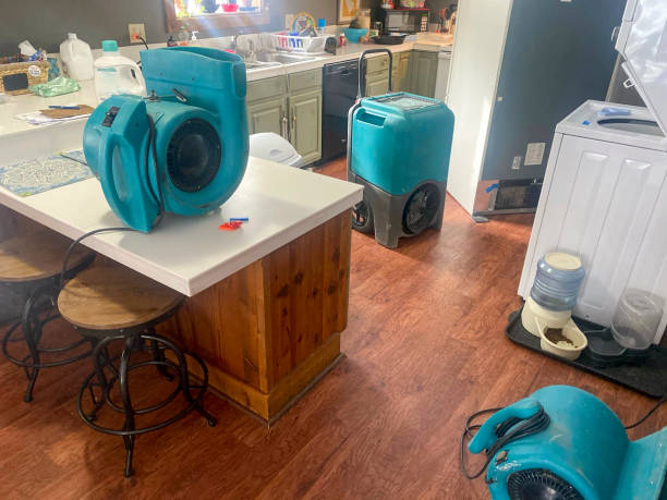 Best Water damage restoration experts  in Fairview Shores, FL