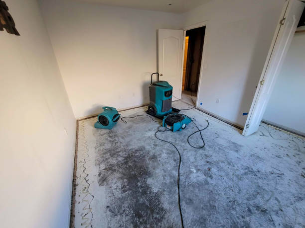 Best 24-hour water damage restoration  in Fairview Shores, FL