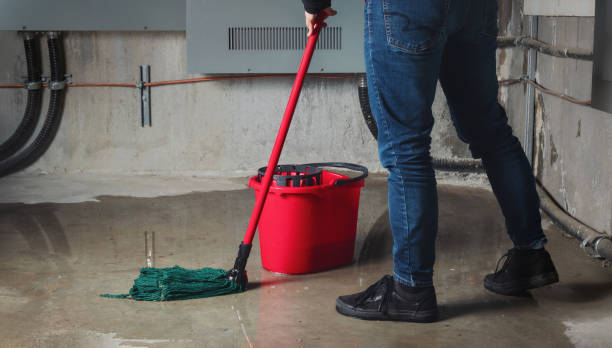 Best Emergency water damage restoration  in Fairview Shores, FL