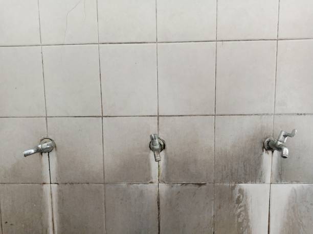 Best Water damage repair service  in Fairview Shores, FL